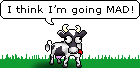 Vaca
